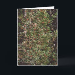 Cartão De Festividades 72. Bird Food - Berries on a Tree<br><div class="desc">Bird Food - Berries on a Tree</div>