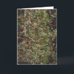 Cartão De Festividades 72. Bird Food - Berries on a Tree<br><div class="desc">Bird Food - Berries on a Tree</div>