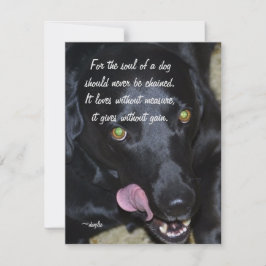 Cartão De Festividades A alma de um cão - laboratório preto