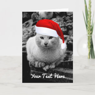 Cartão De Festividades A Cat Black & White With Santa Hat Greeting Cards