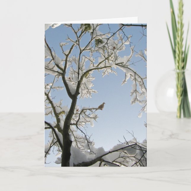 Cartão De Festividades A Dove responde, "Noel." (Frente)