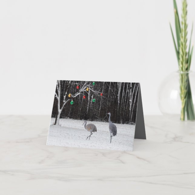 Cartão De Festividades A festive Christmas card featuring Sandhill Cranes (Frente)
