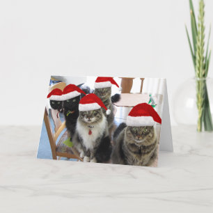 Cartão De Festividades A Gangue Feliz Saudação de Natal