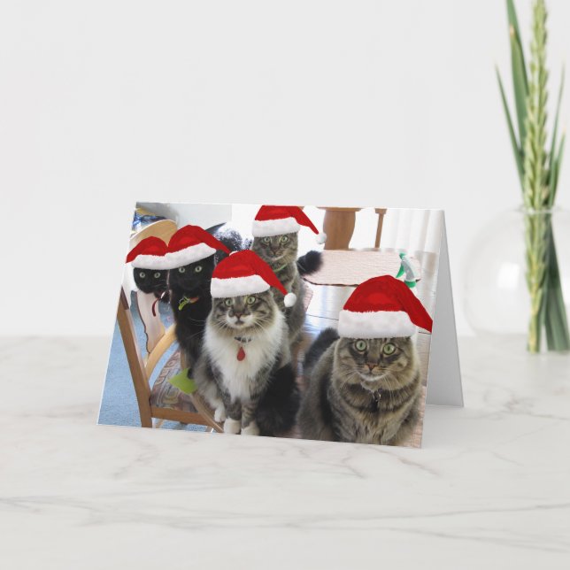 Cartão De Festividades A Gangue Feliz Saudação de Natal (Frente)