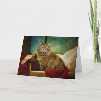 Cartão De Festividades A Magical Christmas