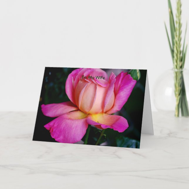 Cartão De Festividades à minha esposa (Frente)