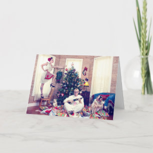 Cartão De Festividades A One Eye'd Cat Christmas Story