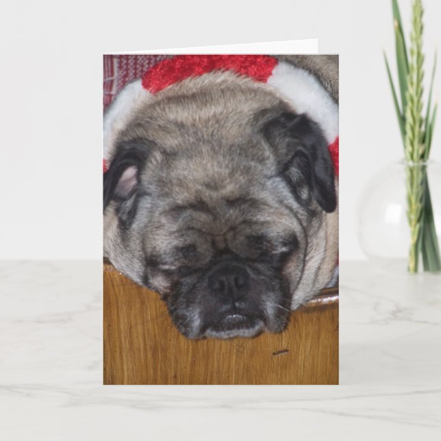 Cartão De Festividades A Pug Dog's Christmas Card (Frente)