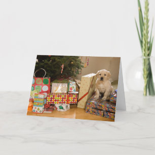 Cartão De Festividades A puppy sits amongst Christmas presents