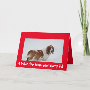 Cartão De Festividades A Valentine from the dog with a Basset Hound