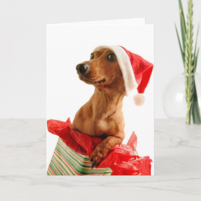 Cartão De Festividades A very Doxie Christmas (Frente)