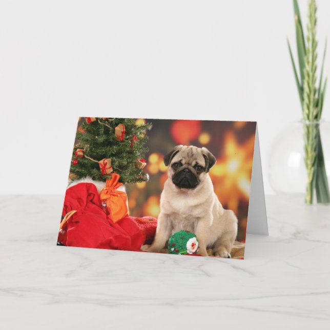 Cartão De Festividades A very Merry Chinese Pug Christmas (Frente)