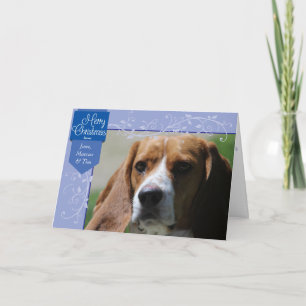 Cartão De Festividades Aba Azul e Florea Foto de Natal