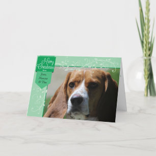 Cartão De Festividades Aba Verde e Florea Foto de Natal