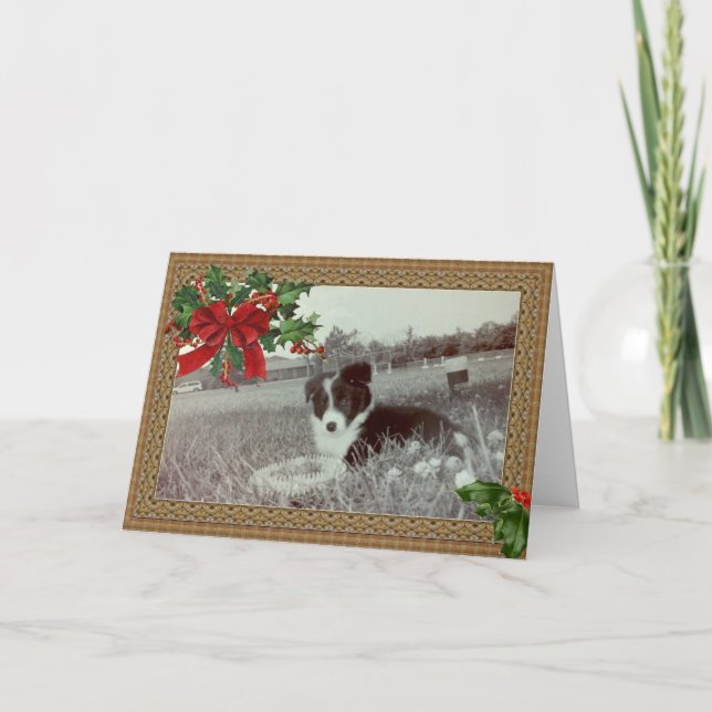 Cartão De Festividades Abby the Incrível Border Collie~Cartão de Natal (Frente)