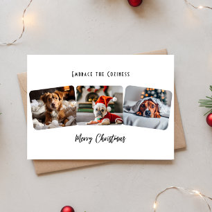 Cartão De Festividades Abrace a Fotomontagem de Natal dos Animais de Esti