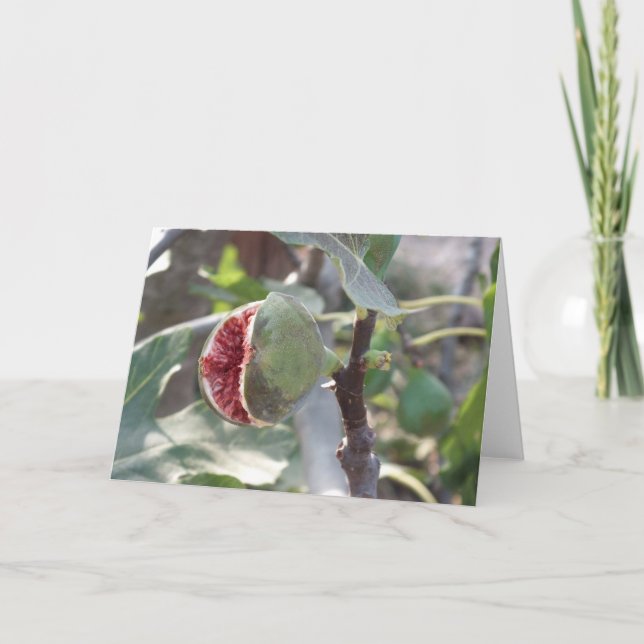 Cartão De Festividades Abrir fig na árvore na Espanha (Frente)