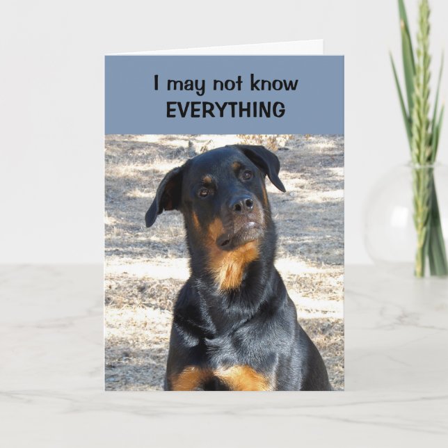 Cartão De Festividades Absolutely Sure Rottweiler Valentine's Day Card (Frente)