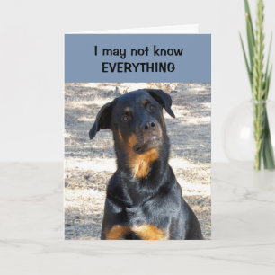 Cartão De Festividades Absolutely Sure Rottweiler Valentine's Day Card