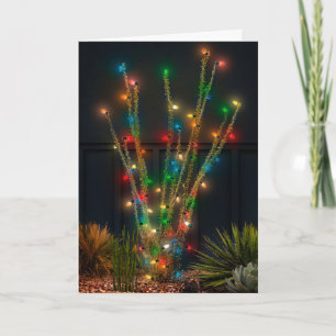 Cartão De Festividades Adicione sua foto de família dentro, Ocotillo Bril