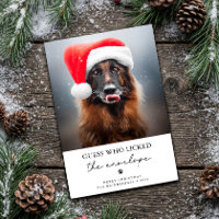 Adivinhe Quem Lambeu o Envelope Cachorro Engraçado