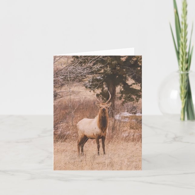 Cartão De Festividades Adolescence - 4" x 5.6" Notecard (Frente)