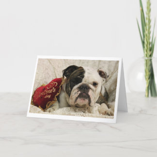 Cartão De Festividades Adora-bull Valentine's Day Card