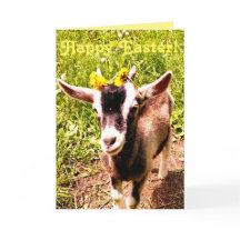 Adorable Baby Goat Easter Card