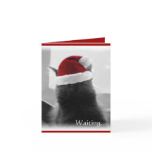 Adorable Christmas Kitten