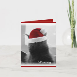 Cartão De Festividades Adorable Christmas Kitten