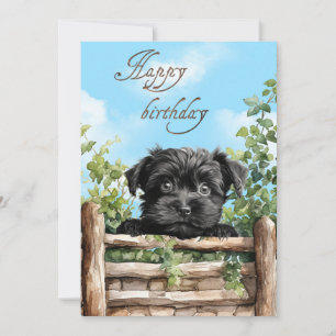 Cartão De Festividades Affenpinscher Watercolor Dog Purgando Sobre A Cerc