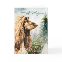 Afghan Hound Dog Season saúda Woodland