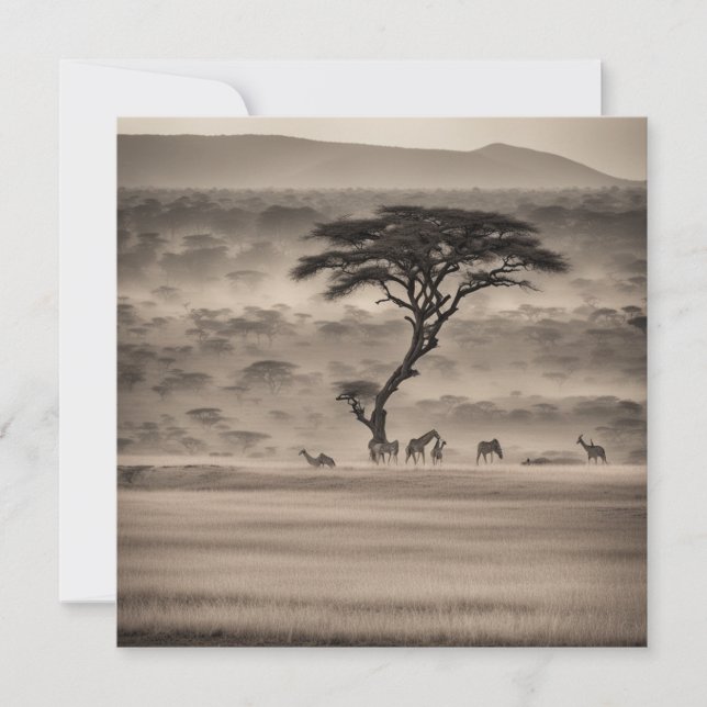 Cartão De Festividades África (Frente)