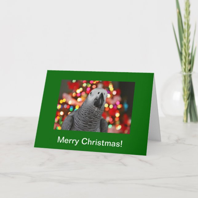 Cartão De Festividades African Grey Parrot Merry Christmas Greeting Card (Frente)