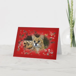 Cartão De Festividades African Serval Valentine Greeting Card & Note Card