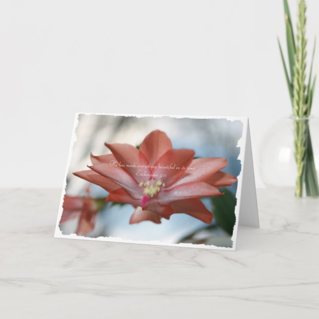 Cartão De Festividades Agnes, o Cactus de Natal Eclesiastes 3:11 (Frente)