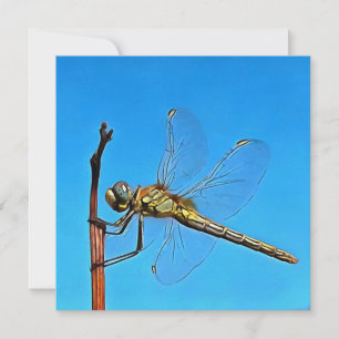 Cartão De Festividades Aguente Lá, Dragonfly Artística