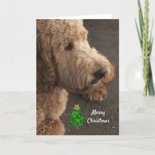 Cartão De Festividades Airedale Dog Christmas Greeting