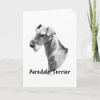 Airedale Terrier Charcarboneto