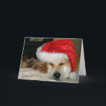 Cartão De Festividades akita in red santa hat and cones for christmas<br><div class="desc">The name of this pretty and very cute Japanese akita is on this great Christmas card is named Asia, she is a red akita, part American type akita and part Japanese type akita. Asia is a rescue dog and this was her first Christmas, she looks a bit fed up with...</div>