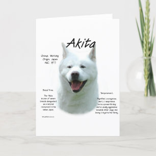 Cartão De Festividades Akita (wht) History Design