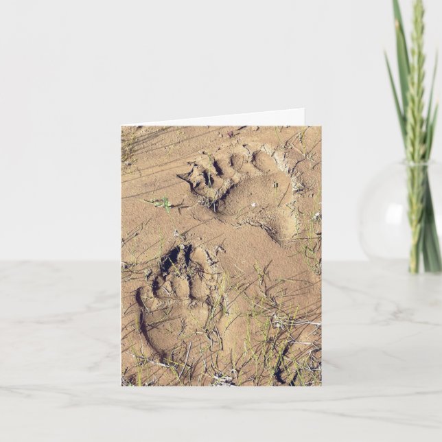 Cartão De Festividades Alaskan Grizz Tracks - 4" x 5.6" Notecard (Frente)
