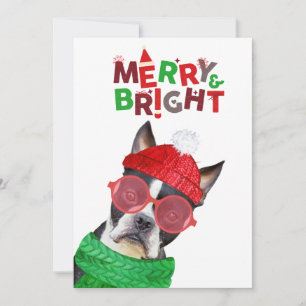Cartão De Festividades Alegre & Brilhante Óculos de Boston Terrier Chapéu