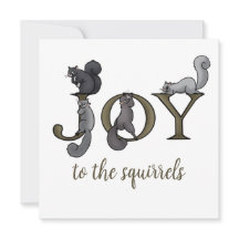 Alegre Feliz para os Esquilos Foto