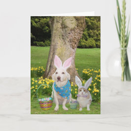 Cartão De Festividades Alguns Bunnies Te Ama!