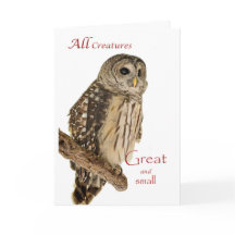 All Creatures Christmas Card