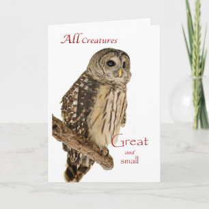 Cartão De Festividades All Creatures Christmas Card