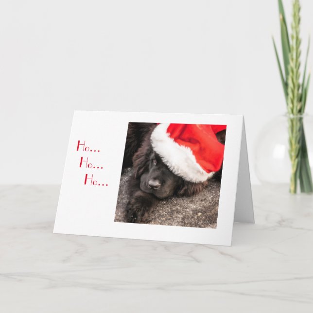 Cartão De Festividades All Dressed for Christmas (Frente)