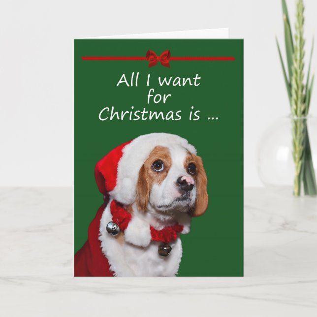 Cartão De Festividades All I Want For Christmas Greeting Card (Frente)