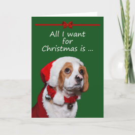 Cartão De Festividades All I Want For Christmas Greeting Card